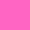  Rosa_Malva